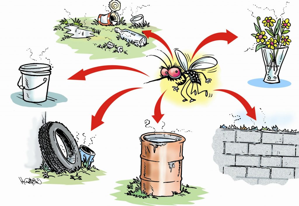 triệu chứng sốt xuất huyết ở người lớn
